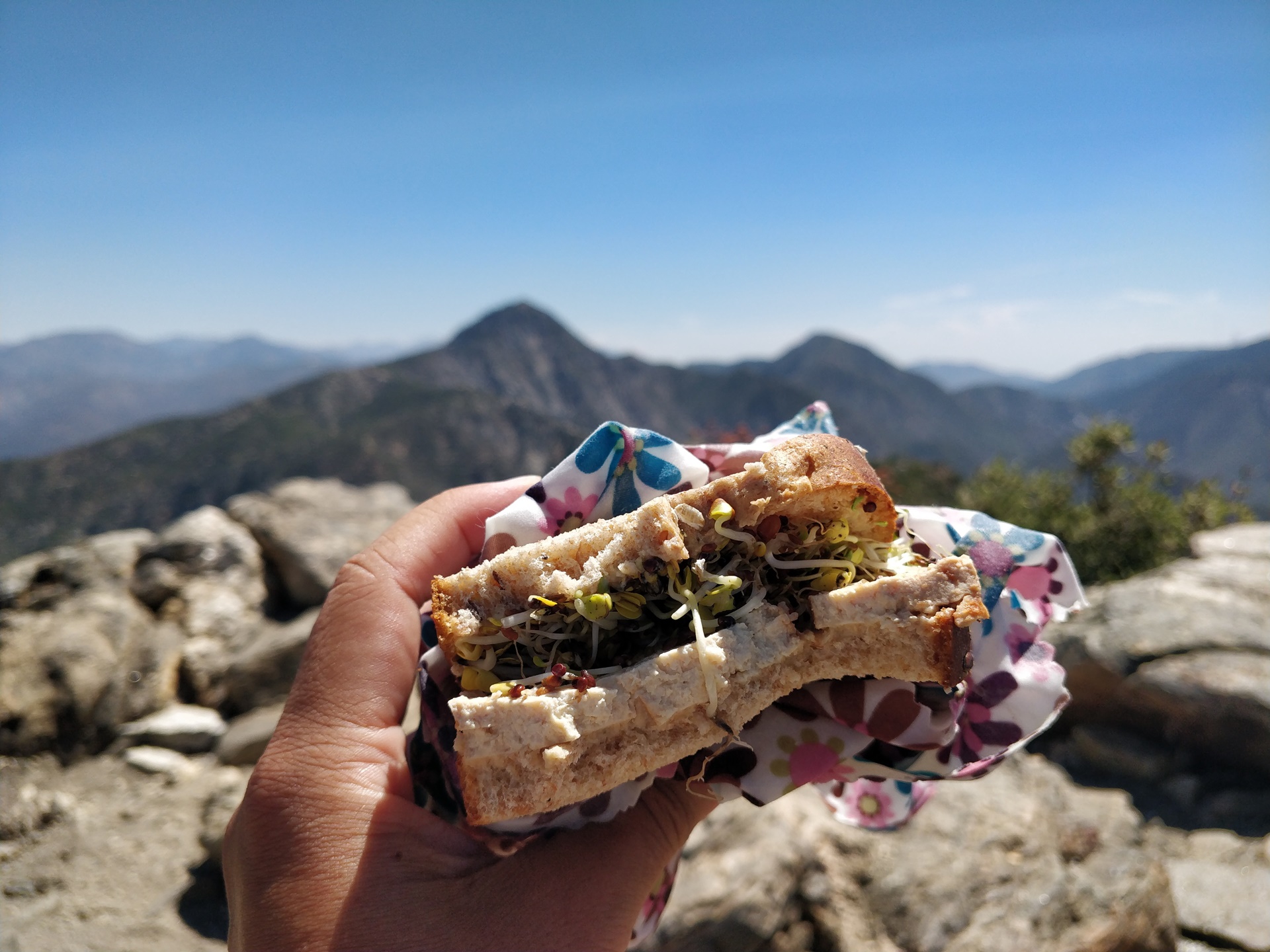 Marinated Tempeh Sandwich: My Favorite Plant-Based Hiking Snack