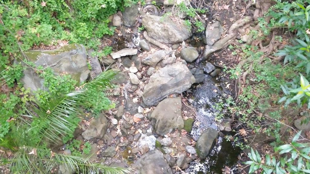 view of the creek from foot bridge
