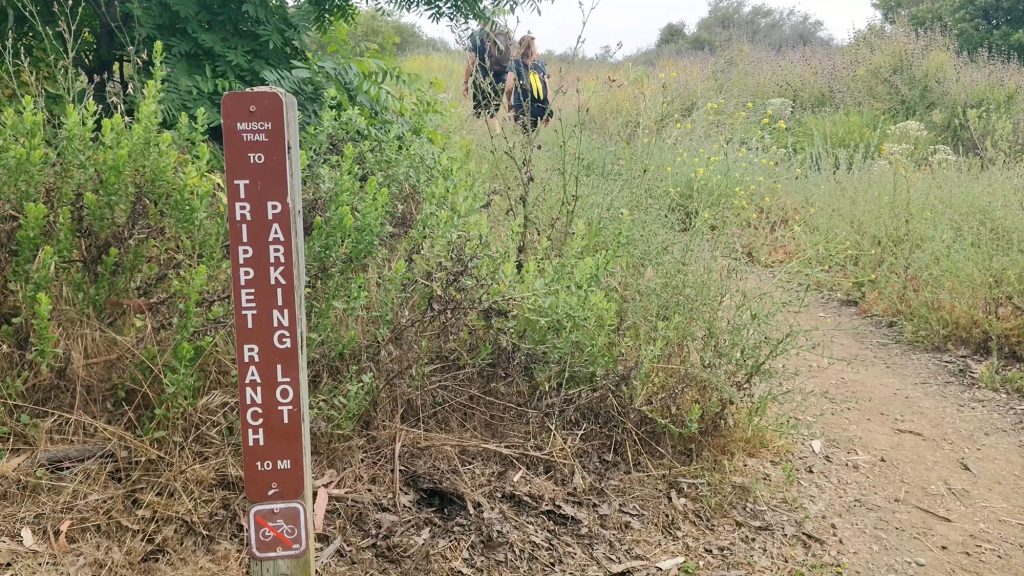 hiking towards Trippet Ranch