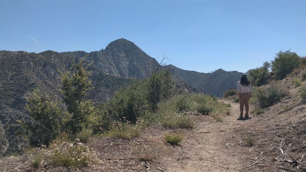 Josephine Peak Saddle, overlooking Strawberry Peak