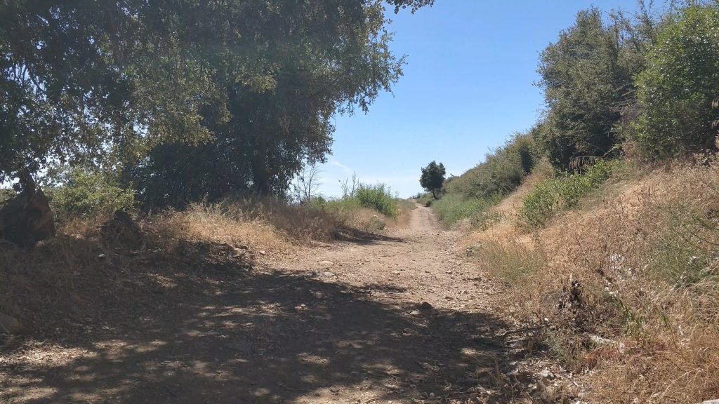 there's occasionally a tiny amount of shade on this trail