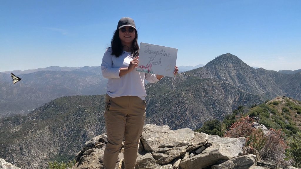 summit shot