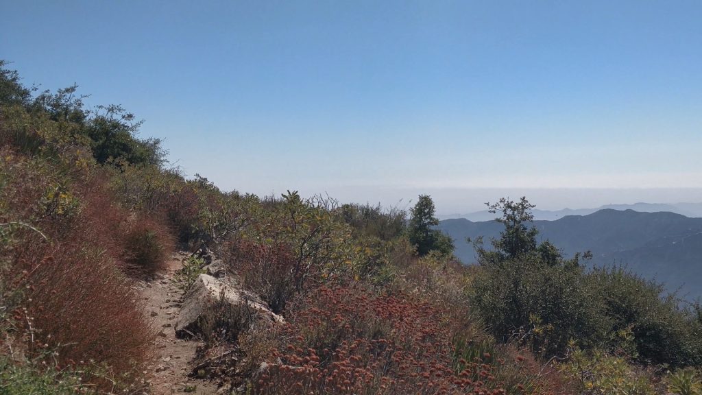 view from the Crescenta View Trail