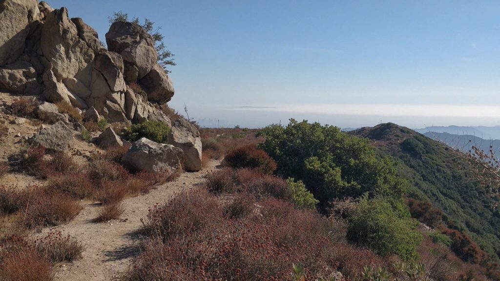 Crescenta View Trail