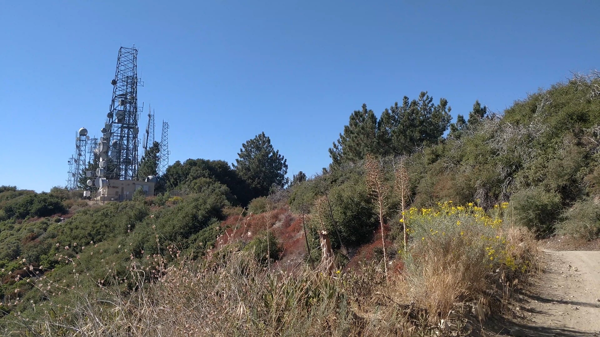 Hiking Mount Lukens via Crescenta View Trail