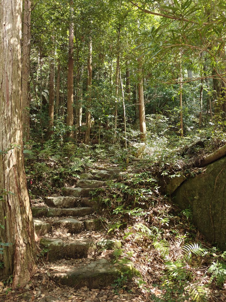 Nakahechi route