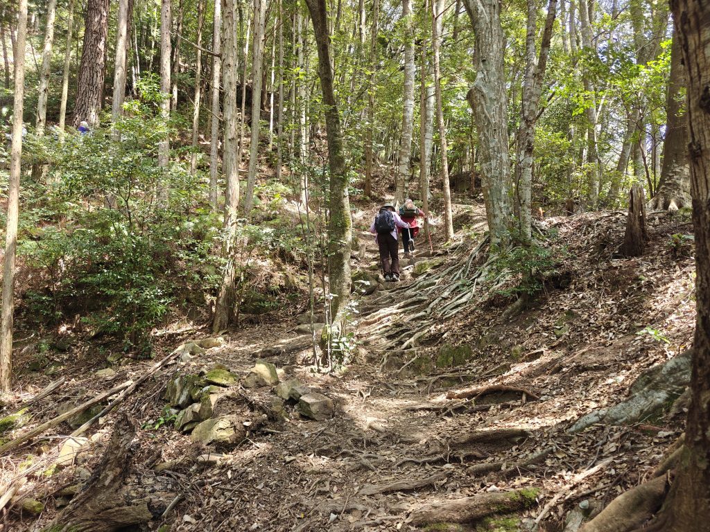 Takijiri-oji to Takahara