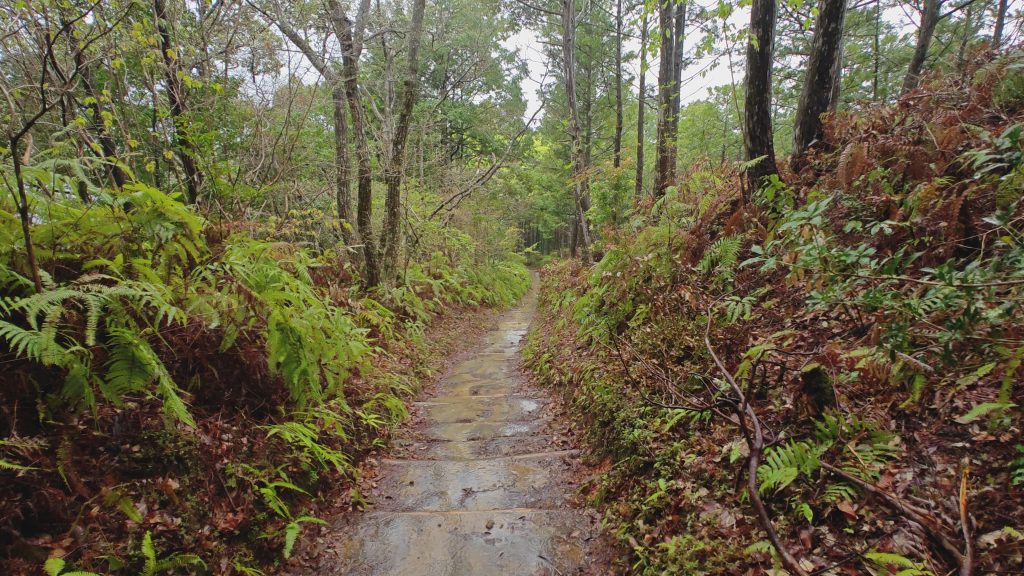Kumano Kodo Nakahechi route