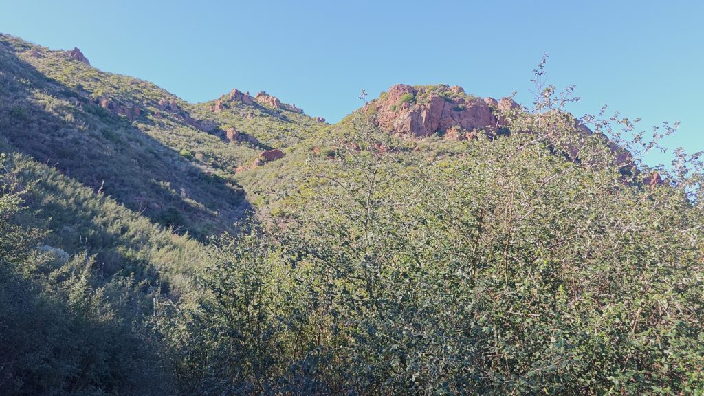 Mishe Mokwa Trail