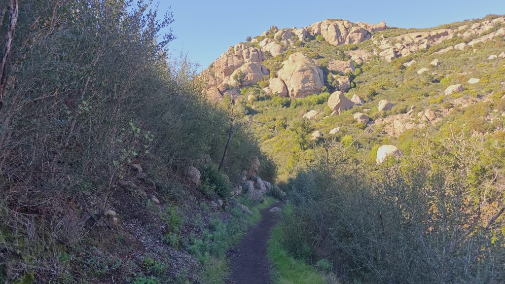 Mishe Mokwa Trail
