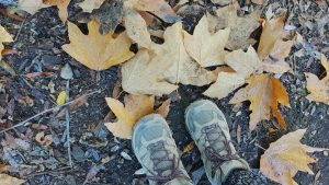 hiking boots on orange and yellow leaves