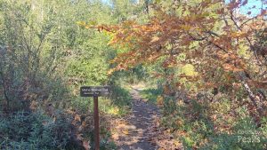 near Split Rock