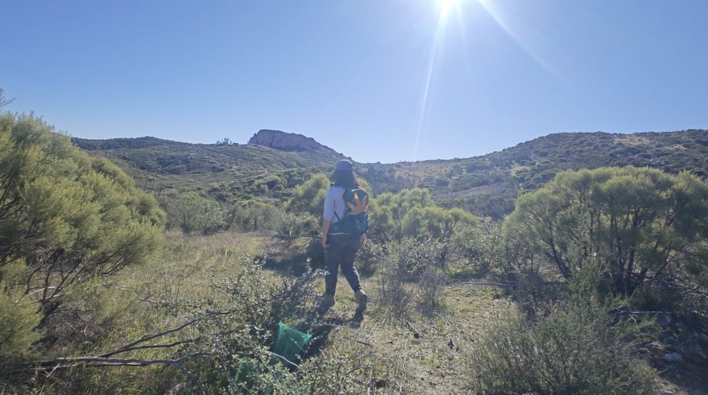 Sandstone Peak Trail